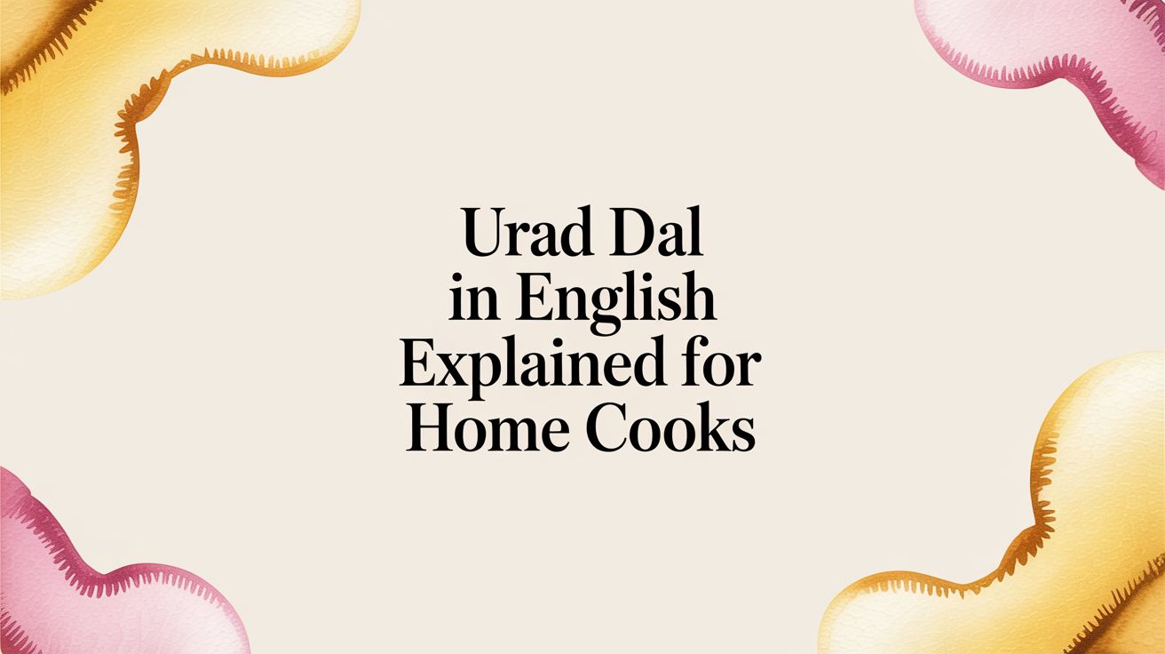 Urad Dal in English Explained for Home Cooks